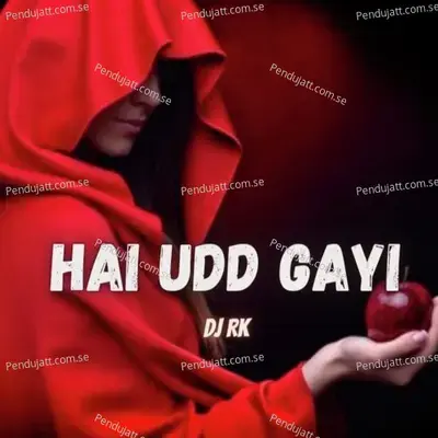 Hai Udd Gai - DJ Rk album cover 