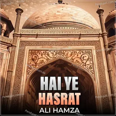 Hai Ye Hasrat - Ali Hamza album cover 