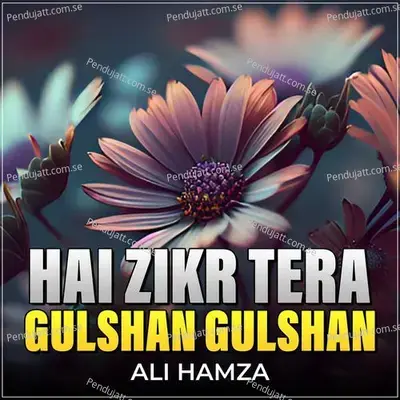 Hai Zikr Tera Gulshan Gulshan - Ali Hamza
