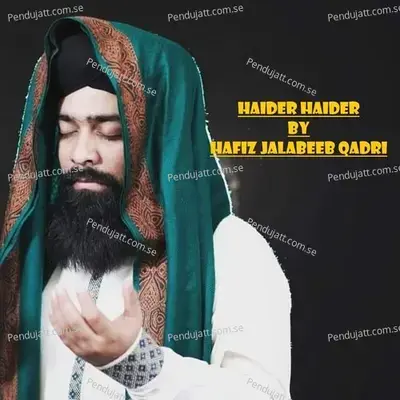 Haider Haider - Hafiz Jalabeeb Qadri album cover 