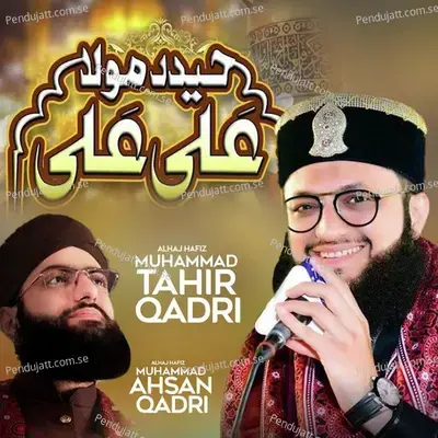 Haider Maula Ali Ali - Alhaj Hafiz Muhammad Ahsan Qadri album cover 