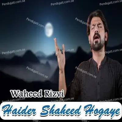 Haider Shaheed Hogaye - Waheed Rizvi album cover 