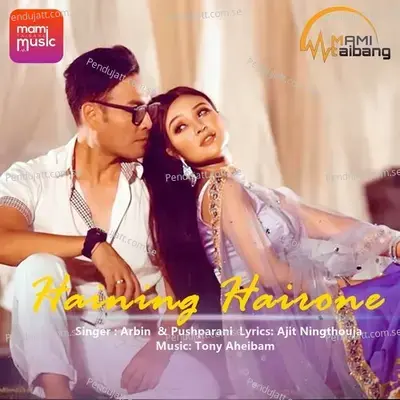 Haining Hairone - Arbin Soibam album cover 