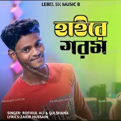 Haire Gorom - Rofikul Ali album cover 