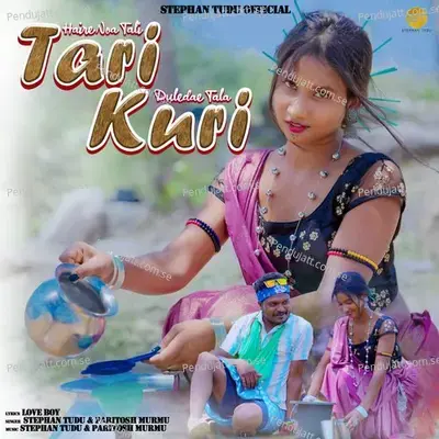 Haire Noa Tali Tari Duledae Tala Kuri - Stephan Tudu album cover 