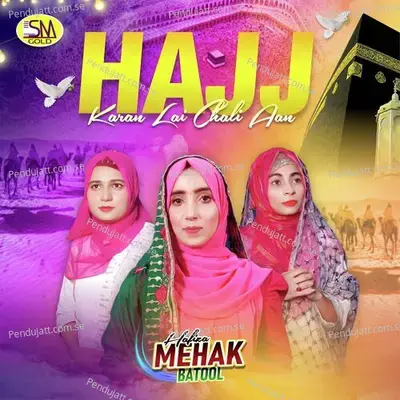 Ditta Rabb Tenu Bara Sohna Lal - Hafiza Mehak Batool album cover 