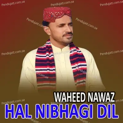 Hee Hayati Mithri Dadhi - Waheed Nawaz album cover 