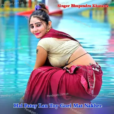 Hal Patay Lau Toy Gori Mat Nakhre - Bhupendra Khatana album cover 