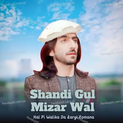 Hal Pi Walika Da Zargi Romana - Shandi Gul Mizarwal album cover 