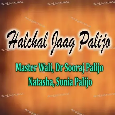 Halchal Jaag Palijo - Master Wali album cover 