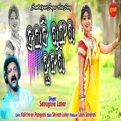 Haldi Rangar Chunri - Satrughna Luhar album cover 