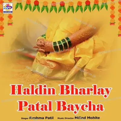 Haldin Bharlay Patal Baycha - Reshma Patil album cover 