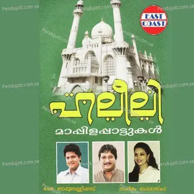 Ikkurinjan Akkare - Biju album cover 