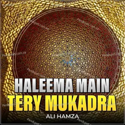 Haleema Main Tery Mukadra - Ali Hamza album cover 