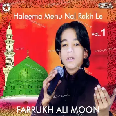 Haleema Menu Nal Rakh Le - Farrukh Ali Moon album cover 