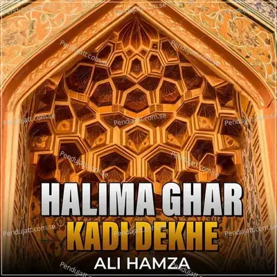 Halima Ghar Kadi Dekhe - Ali Hamza album cover 
