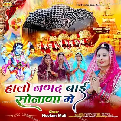 Halo Nanad Bai Sonana Me - Neelam Mali album cover 