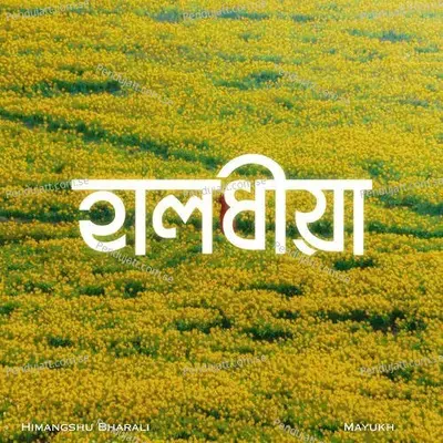 Halodhiya - Himangshu Bharali album cover 