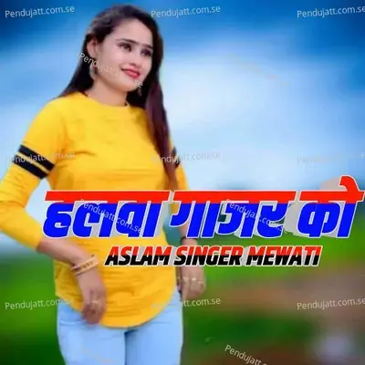 Halwa Gajar Ko - Aslam Singer Mewati album cover 