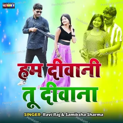 Ham Deewani Tu Deewana - Ravi Raj album cover 