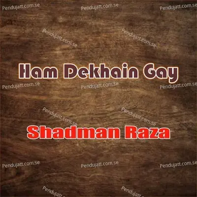 Pyary Bacho Aao - Shadman Raza album cover 