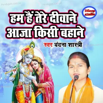 Ham Hai Tere Diwane Aja Kisi Bahane - Vandana Shastri album cover 