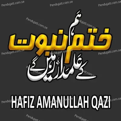 Ham Khatm E Nabuwat Ke Alamdar Rahenge - Hafiz Amanullah Qazi album cover 