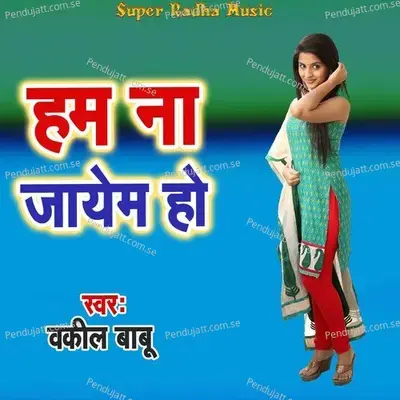 Ham Na Jayem Ho - Wakil Babu album cover 