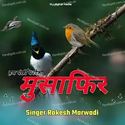 Ham Panchi Pardes Musafir - Rakesh Marwadi album cover 