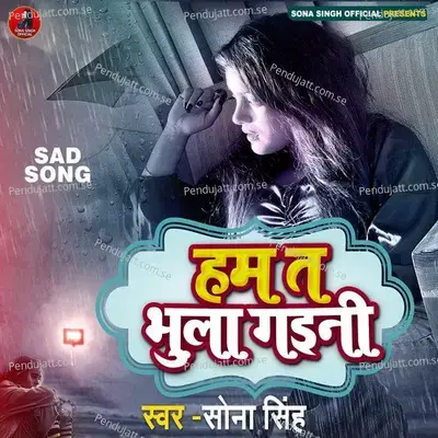 Ham Ta Bhula Gaini - Sona Singh album cover 