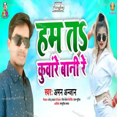 Ham Ta Kunware Bani Re - Aman Anjan album cover 