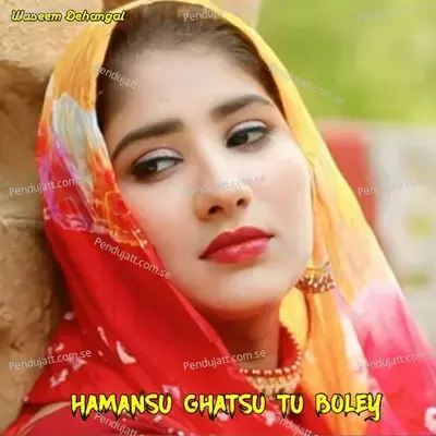 Hamansu Ghatsu Tu Boley - Waseem Dehangal album cover 