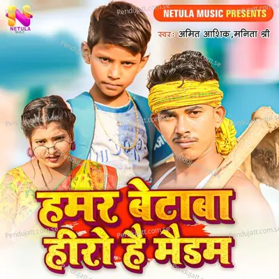 Hamar Betaba Hero Hai Maidam - Amit Ashik album cover 