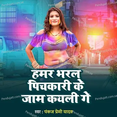 Hamar Bharal Pichkari Ke Jam Kayli Gay - Pankaj Premi Yadav album cover 