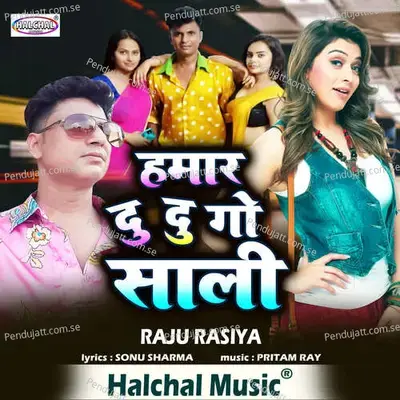 Hamar Du Du Go Sali - Raju Rasiya album cover 