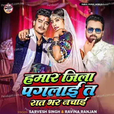 Hamar Jila Paglai Ta Ratbhar Nachai - Sarvesh Singh album cover 