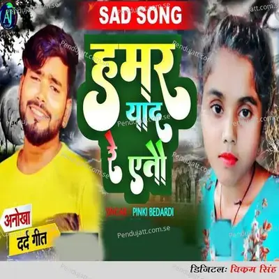 Hamar Yad Re Aitau - Pinki Bedardi album cover 