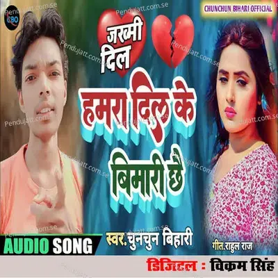 Hamara Dil Ke Bimari Chhai - Chunchun Bihari album cover 
