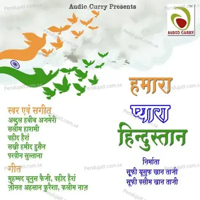 Vande Mataram - Niraj Parikh album cover 