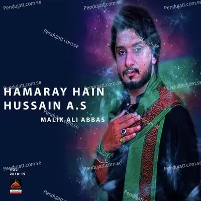 Humray Hai Hussain As - Malik Ali Abbas album cover 