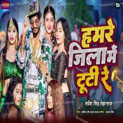 Hamare Jila Me Tuti Re - Sarvesh Singh album cover 