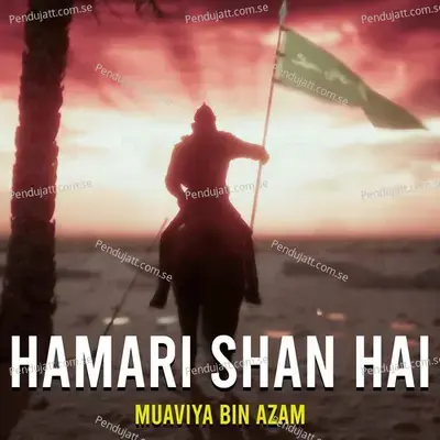 Hamari Shan Hai - Muaviya Bin Azam album cover 