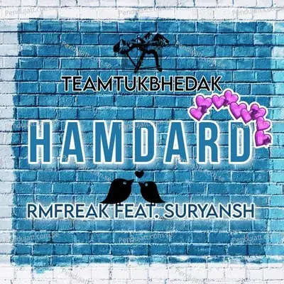 Hamdard - RMFREAK album cover 