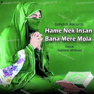 Hame Nek Insan Bana Mere Mola - Sandali Ahmad album cover 