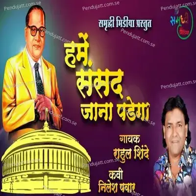 Hame Sansad Jana Padega - Rahul Shinde album cover 