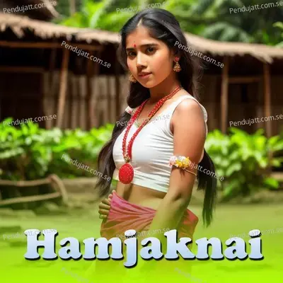 Hamjaknai - Biswanath album cover 