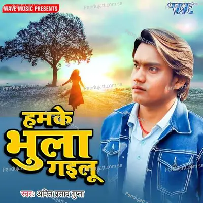 Hamke Bhula Gailu - Amit Prasad Gupta album cover 