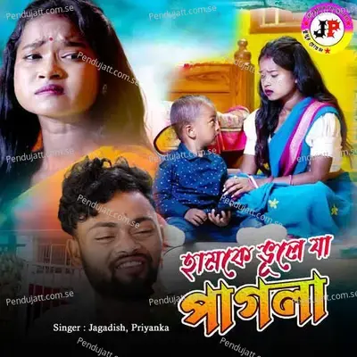 Hamke Bhule Ja Pagla - Jagadish album cover 