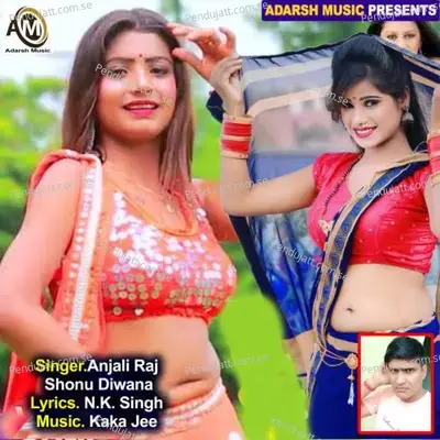 Hamra Ke Bujh Jani Ome Ke Laguwa - Anjali Raj album cover 