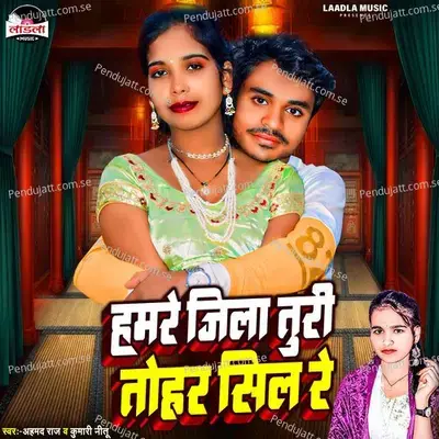 Hamre Jila Turi Tohar Sil Re - Ahmad Raj album cover 